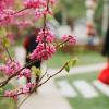 140406FS10007