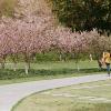 140406FS10008
