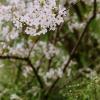 140406FS10011