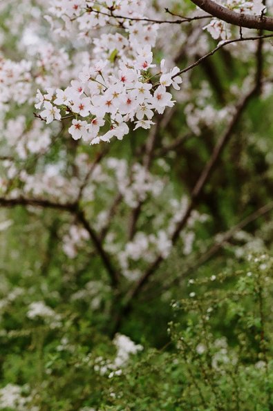 140406FS10011