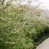 140406FS10014