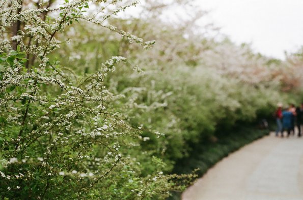 140406FS10014