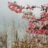 140406FS10016