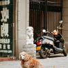 140406FS10024