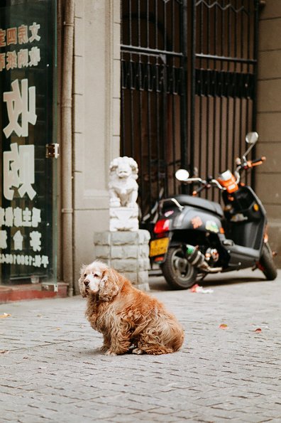 140406FS10024