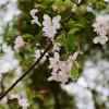 140406FS10027