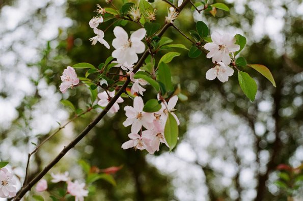 140406FS10027