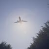 140608RDP0018