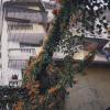 140608RDP0028
