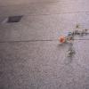 140608RDP0029