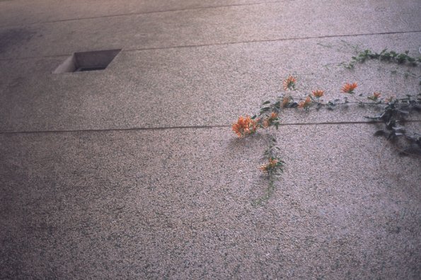 140608RDP0029