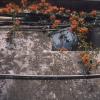140608RDP0030