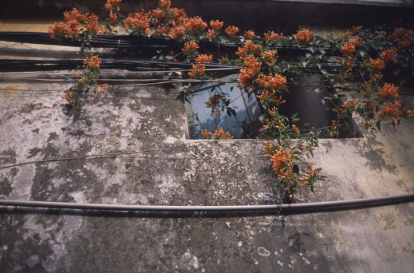 140608RDP0030