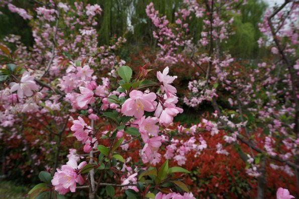 DSC02302
