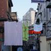 DSC04966