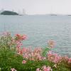 150320FS20033