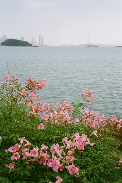 150320FS20033