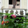 DSC02058