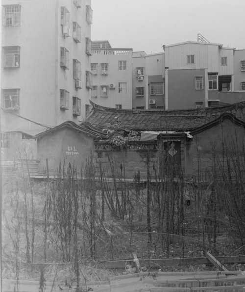 DSC00415