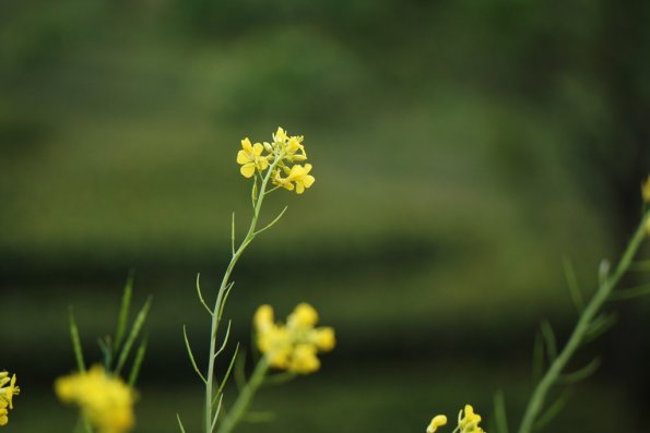 DSC00147