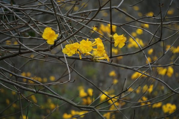 DSC00151