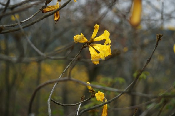 DSC00153