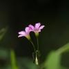 DSC00181