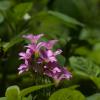 DSC00185