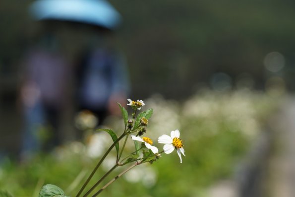 DSC00188