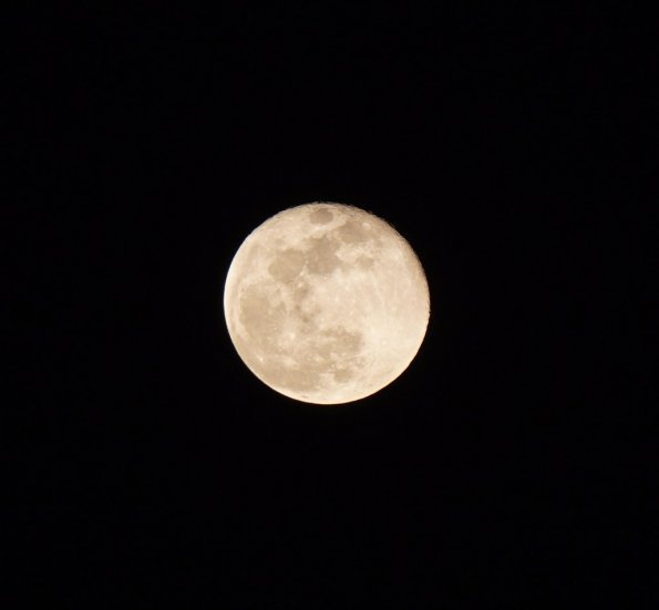 DSC00395