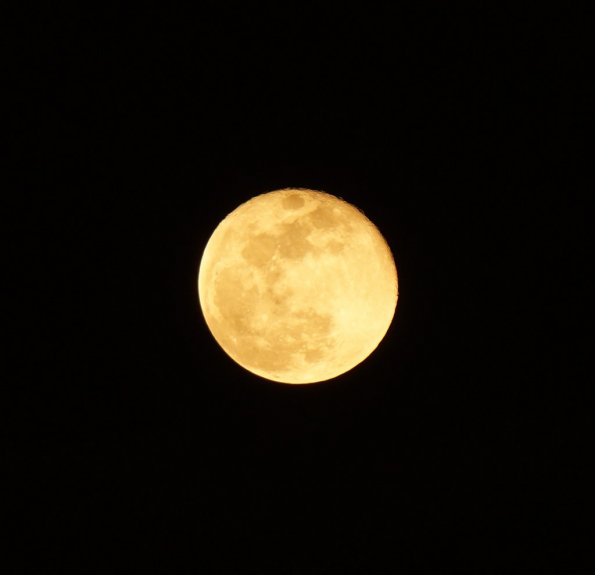 DSC00398