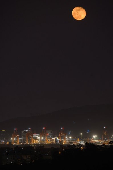 DSC00404
