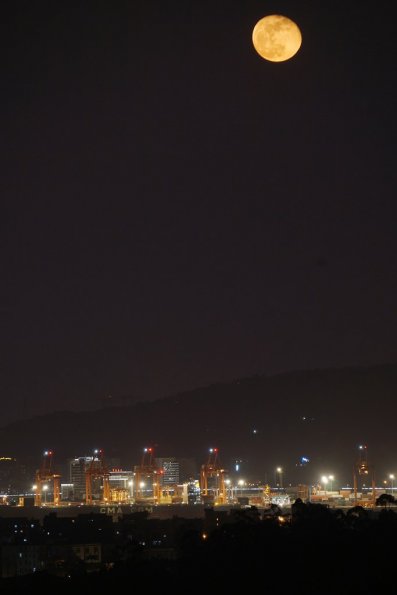 DSC00405