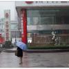 50/1.4D测试片