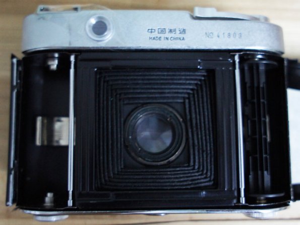 SG203c